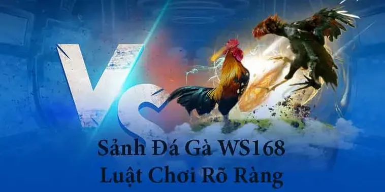 Bí Quyết Chơi Đá Gà WS168 Tại VF555 Thắng Lớn Ngay Hôm Nay 2 Bí Quyết Chơi Đá Gà WS168 Tại VF555 Thắng Lớn Ngay Hôm Nay