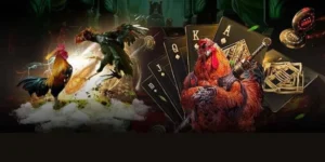 Chinh Phục Sảnh Đá Gà GA28 Tại VF555 Và Rinh Thưởng Khủng Mỗi Ngày