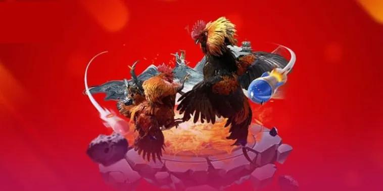 Đá Gà VF555 Đỉnh Cao Trải Nghiệm Cược Trực Tiếp Mỗi Ngày 1 Đá Gà VF555 Đỉnh Cao Trải Nghiệm Cược Trực Tiếp Mỗi Ngày