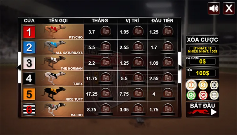 Bí Quyết Chơi Đua Chó VF555 Thắng Lớn Từ Cao Thủ Hàng Đầu 1 Bí Quyết Chơi Đua Chó VF555 Thắng Lớn Từ Cao Thủ Hàng Đầu